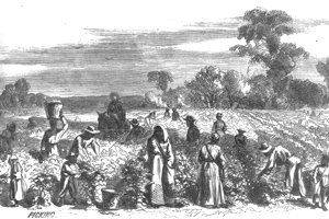 [slave+women+working2.jpg]