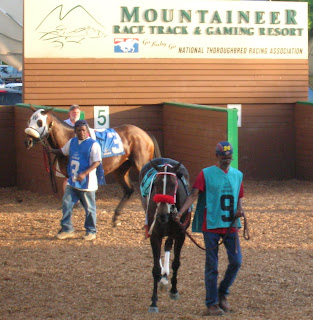 Maggie Slew, the 9 horse, and Water Gap, the 3, before the Decoration Day Handicap at Mountaineer