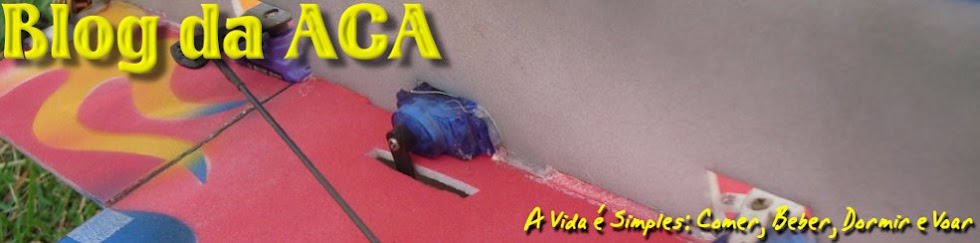 Blog da ACA - Aeromodelismo 3D RC - Congonhas-MG / Brasil