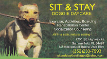 Welcome to Sit & Stay