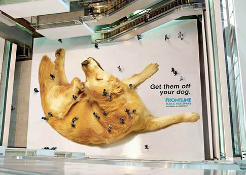 Campanha da Frontline cachorro, shopping, pulgas, anúnicio