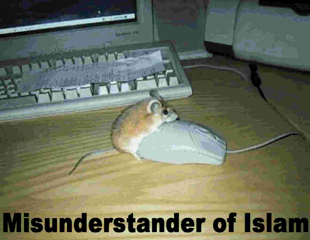 Computer mouse memes