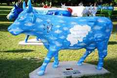 Cow Painted As Sky