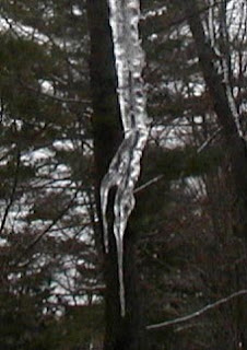bent icicle end