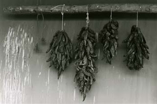 Drying peppers