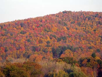 MS autumn mountain