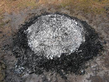 charcoal pile 1