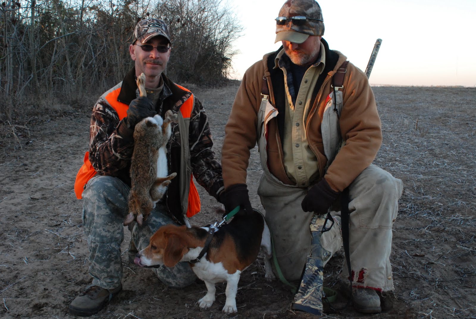 OUTSIDE AGAIN RABBIT HUNT STIMULATES MEMORIES OF DAYS GONE BY