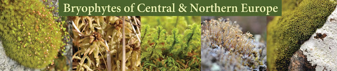 Bryophytes of Central and Northern Europe