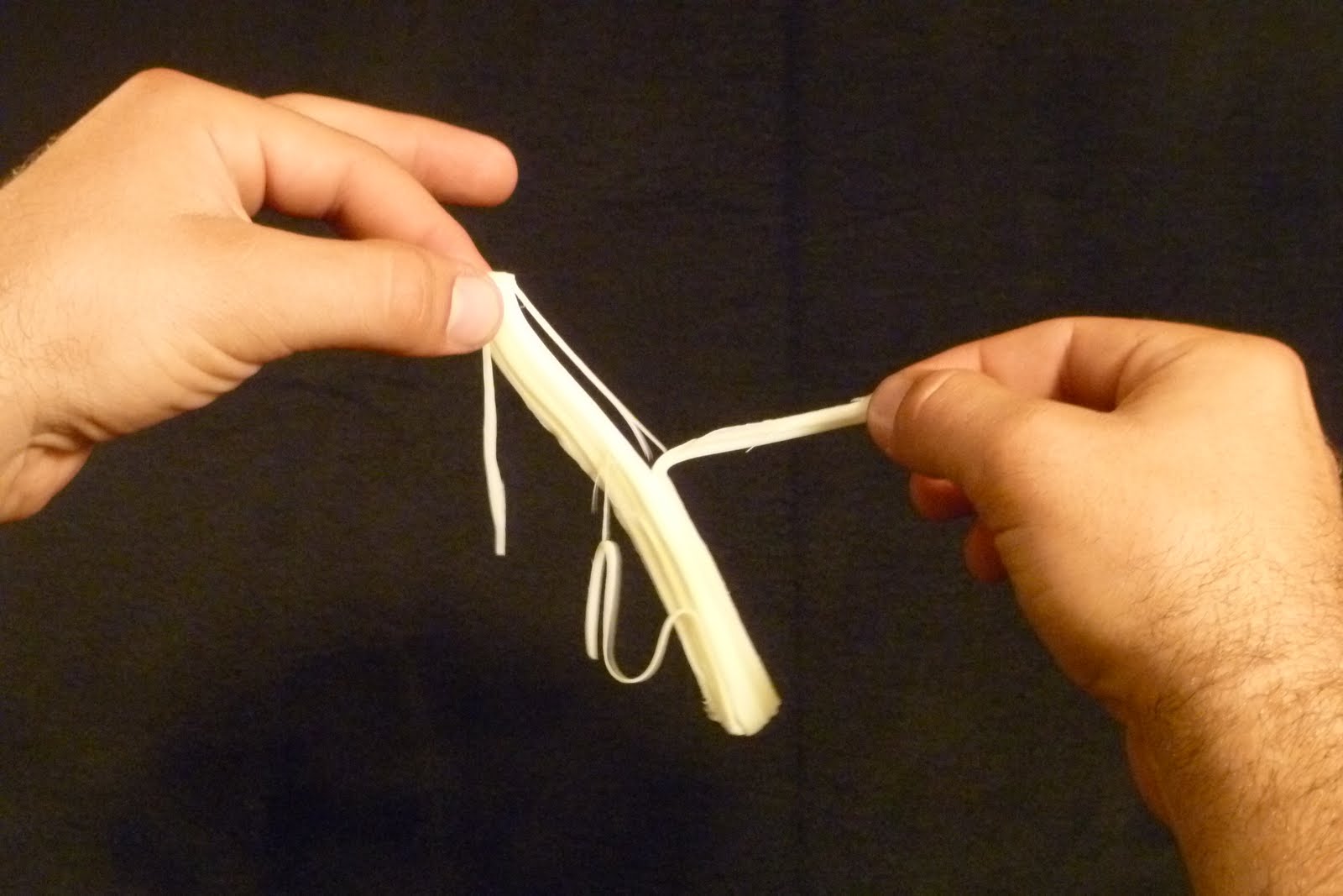 drjunkfood: The String Cheese Incident