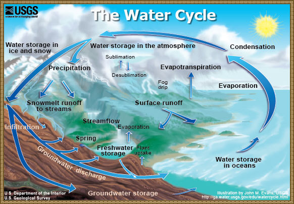 Speaking From The Ranch: Invasive Brush Plants - Part 6 ... explain water cycle with diagram for class 6 