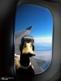 The View From My Window On A Recent Trip????