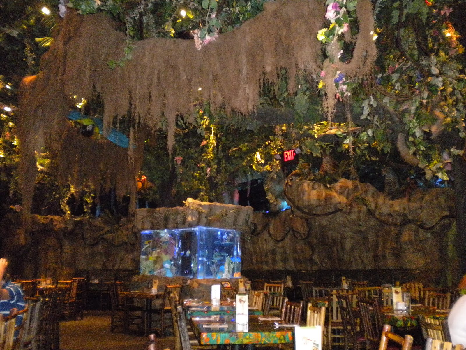 Palm Tree Fanatic Rainforest Cafe An eating experience