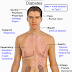 Nursing Assessment for Diabetes Mellitus