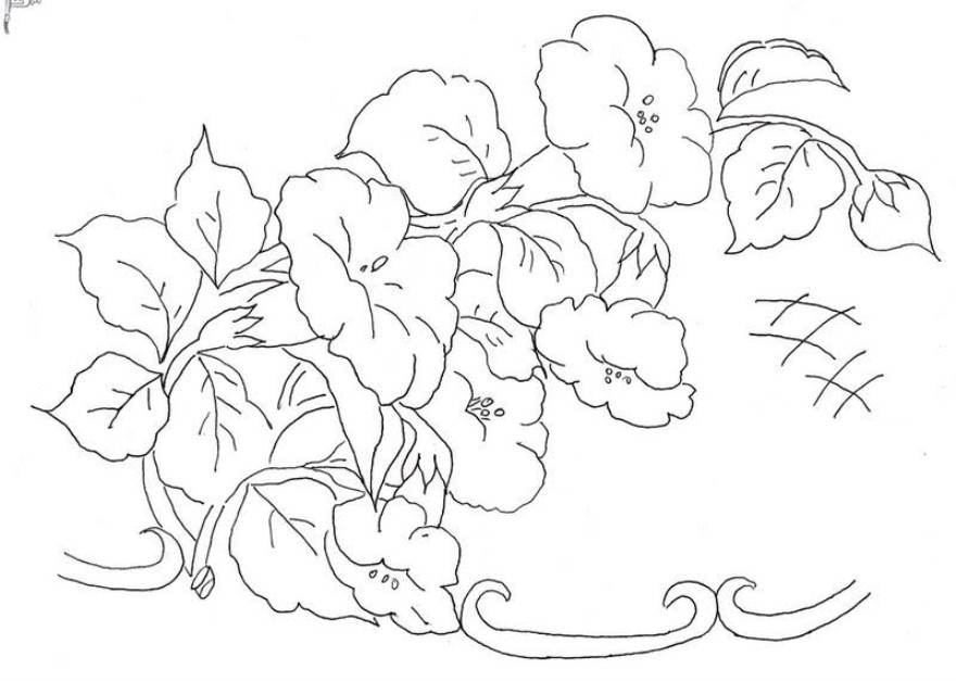 Desenhos Para Pintar Em Quadros