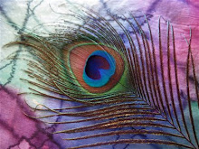 welcoмe тo wιdeвreeze