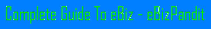 Complete Guide To eBiz