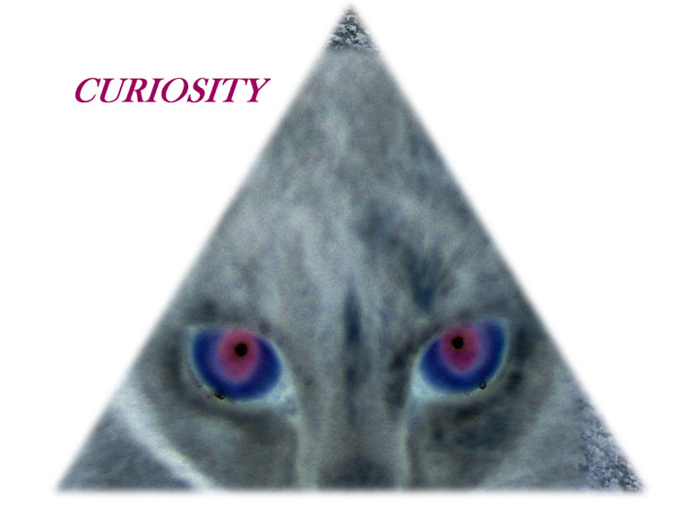 curiosity
