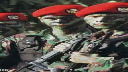 Batalyon Kavaleri 9: Sejarah, Tugas, dan Peran Penting dalam Kekuatan Militer Indonesia