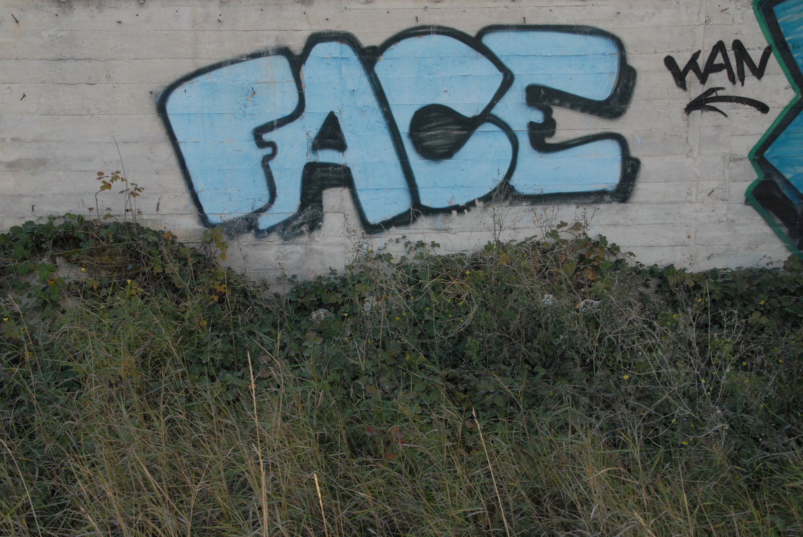[Face+010.JPG]