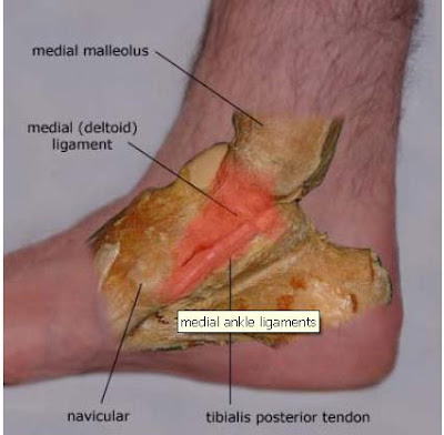 February 2010 | Podiatry
