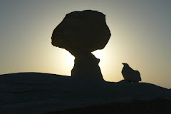Dans un désert blanc, en Égypte,roches représentant une poule et un arbre!