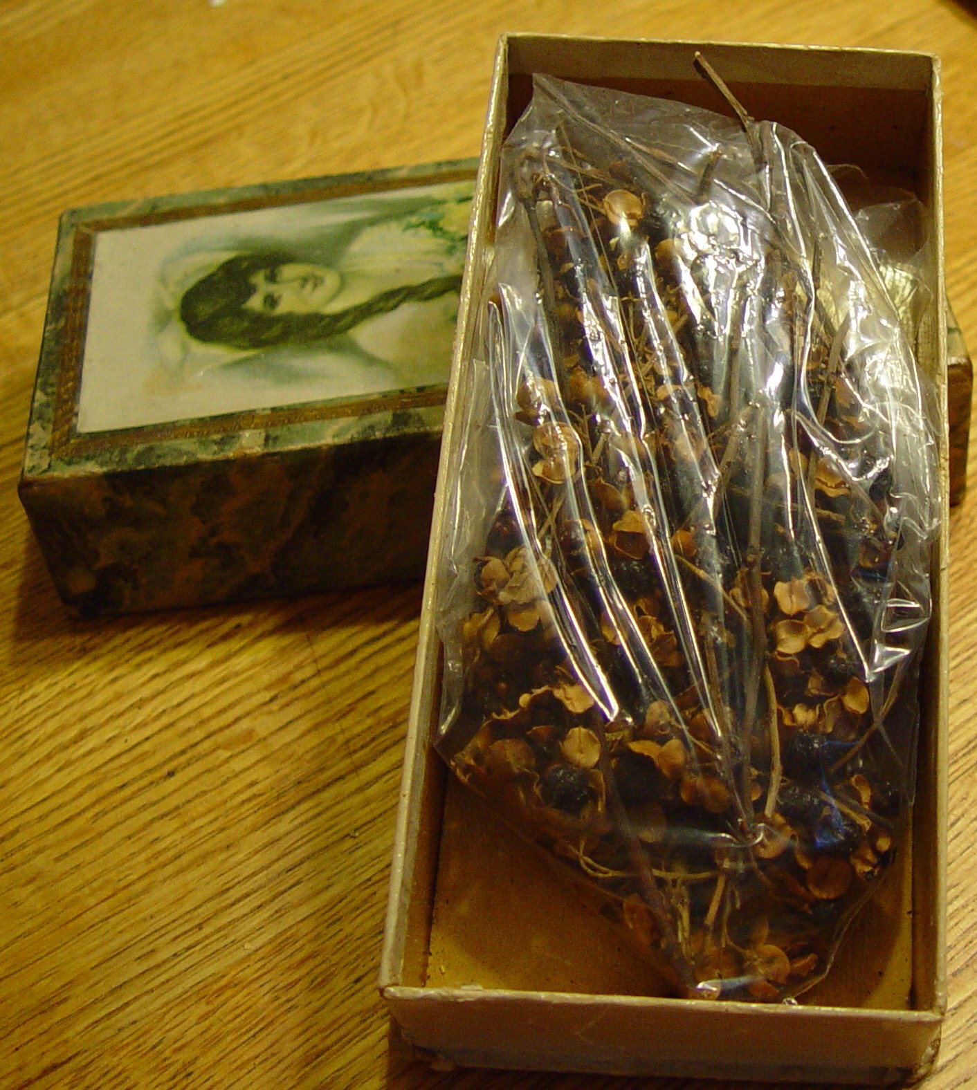 Flipside Treasure Chest ThursdaySmith Candy Box