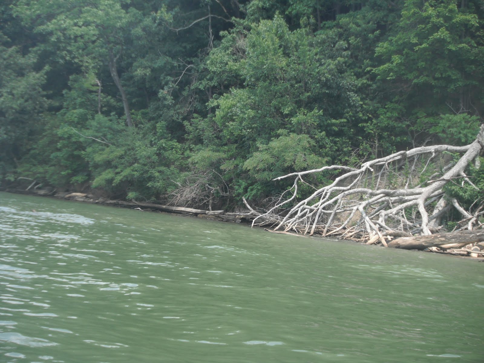 Weather Cheat Lake WV A Unique Microclimate Weather Cheat Lake WV A Unique Microclimate