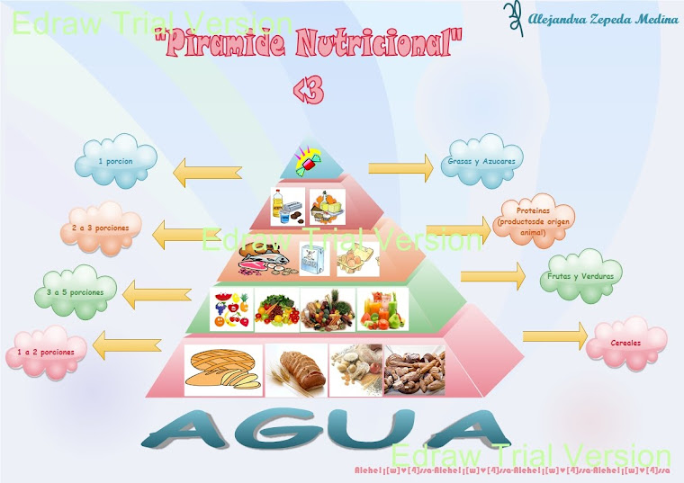 Piramide nutricional