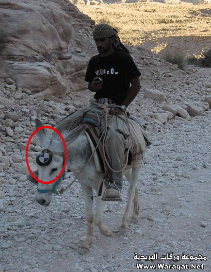 [burro+bmw-790852.gif]