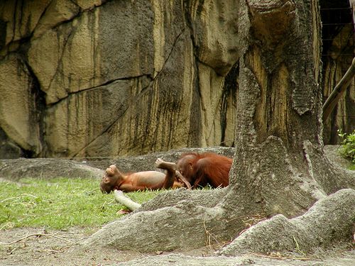 [image009-757157.jpg]