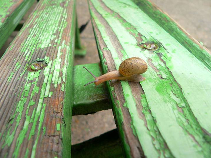 [image001-787466.jpg]