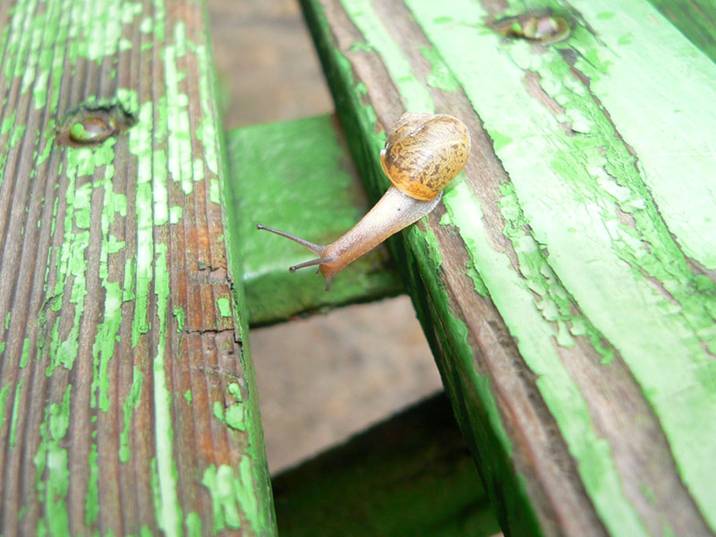 [image003-788652.jpg]