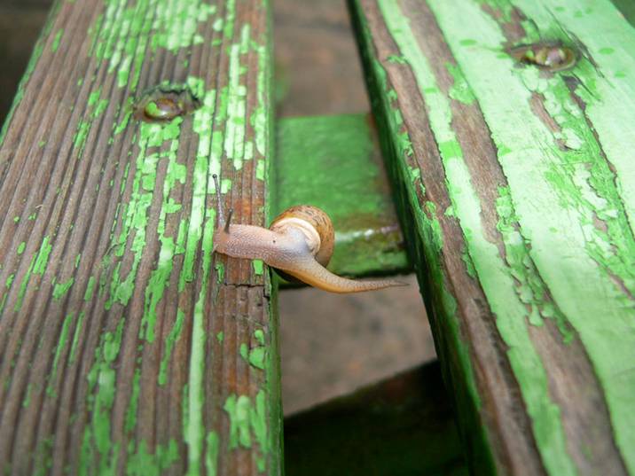 [image007-799763.jpg]