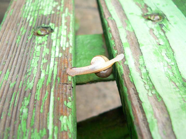 [image005-798063.jpg]