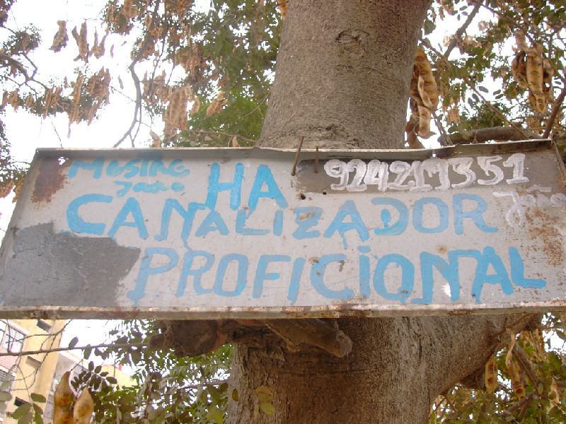 [nsmail-10-749170.jpg]