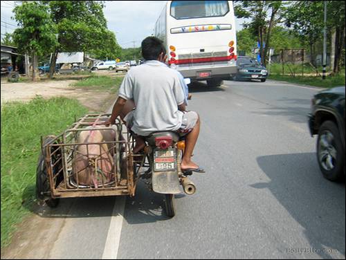 [ATT00031-726915.jpg]