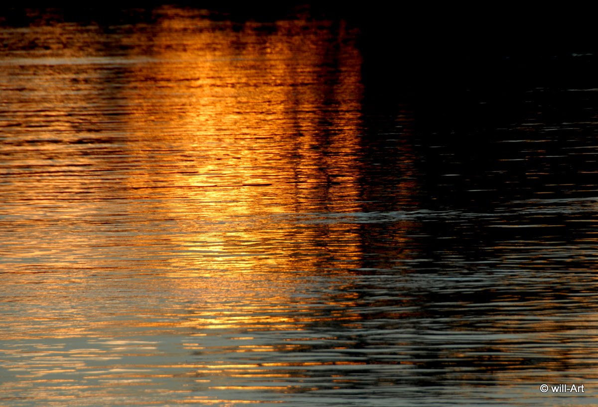 Het groene gezicht juli 2010