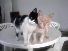 habia amor ahiii!!!!