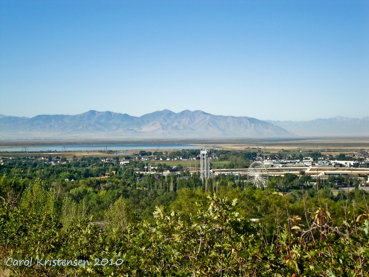 Farmington Pond The Way I See It