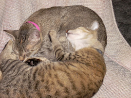 My Children