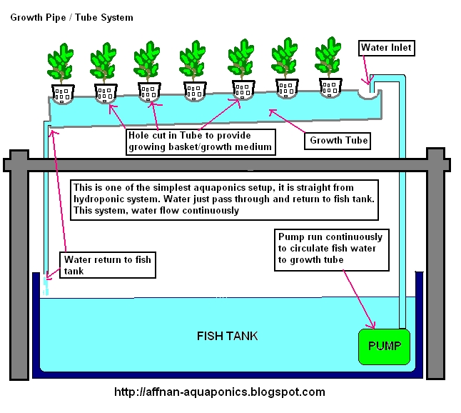 Affnan's Aquaponics: Growth Tube System - NFT
