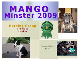 Mango Minster 2009 - Herding Group