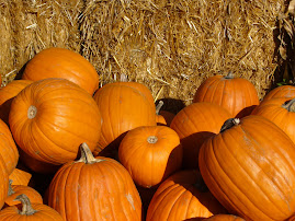 Pumpkins Galore