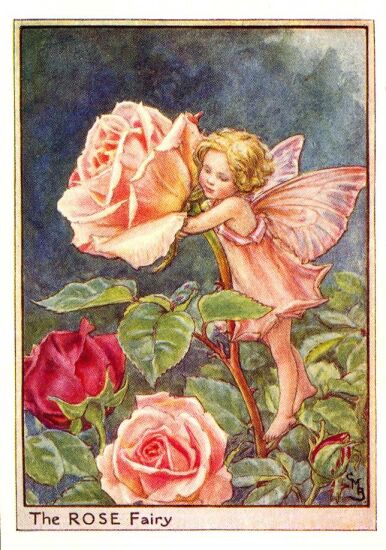 Katie Black At Home: FLOWER FAIRIES