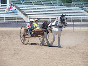 2010 Horse Driving Project
