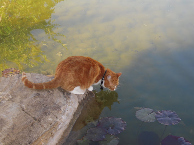 Patrick Tillett: Road Trip to Utah