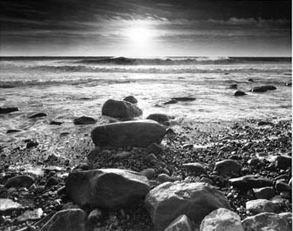 [Richard+Nowicki.jpg]