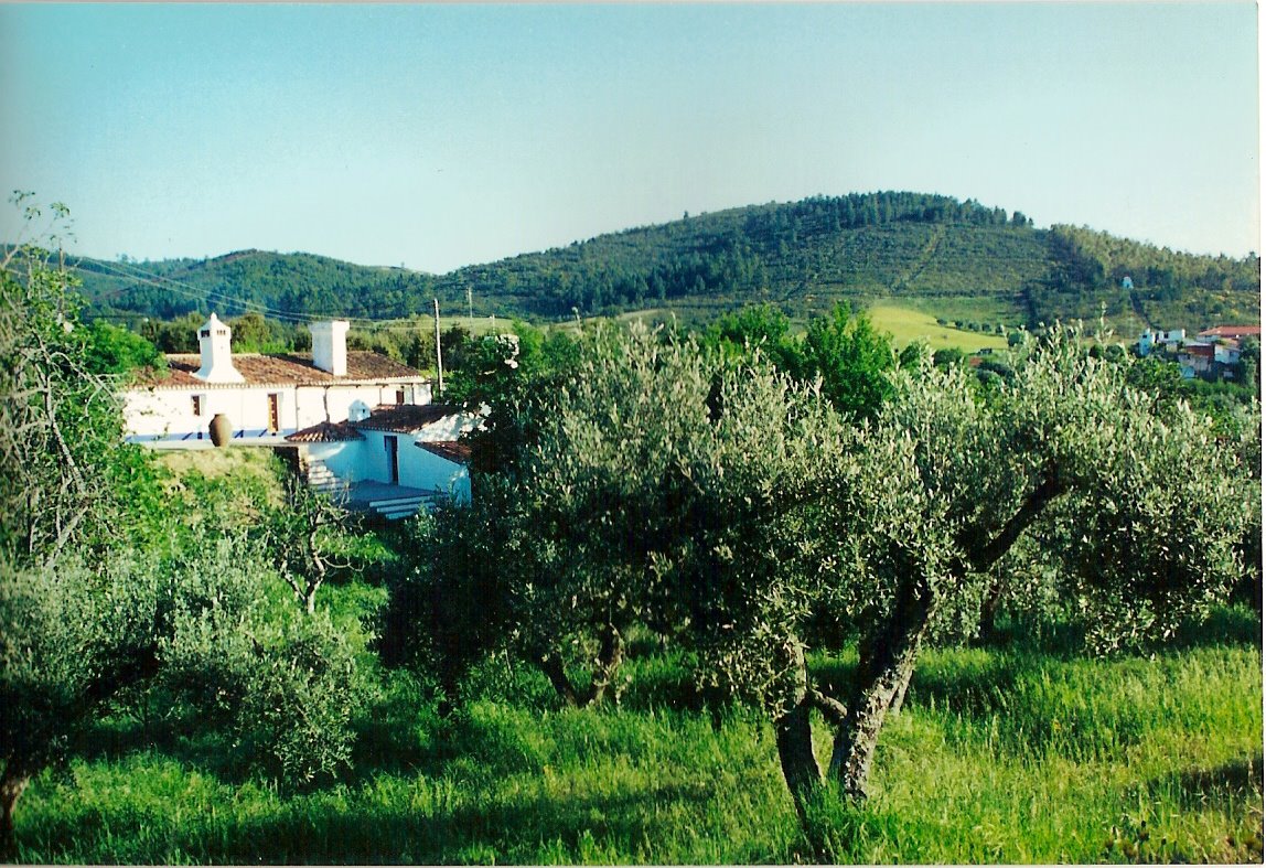 [Casa+VG+Abr+2001.jpg]