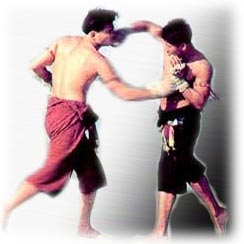 [hanumanjongtanon.jpg]